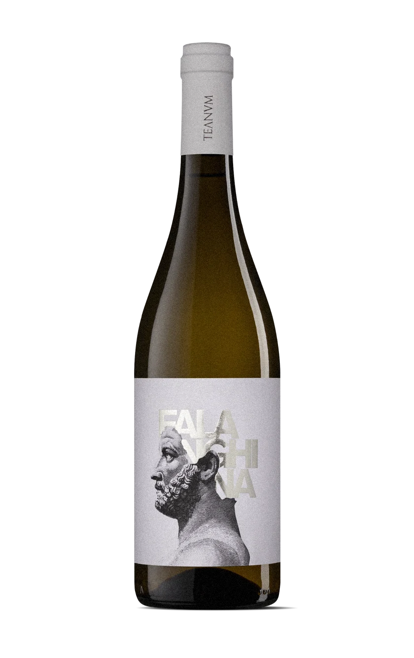 Falanghina