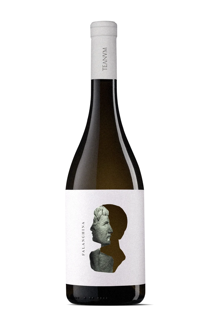 Falanghina