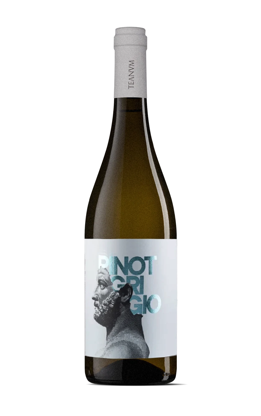 Pinot grigio